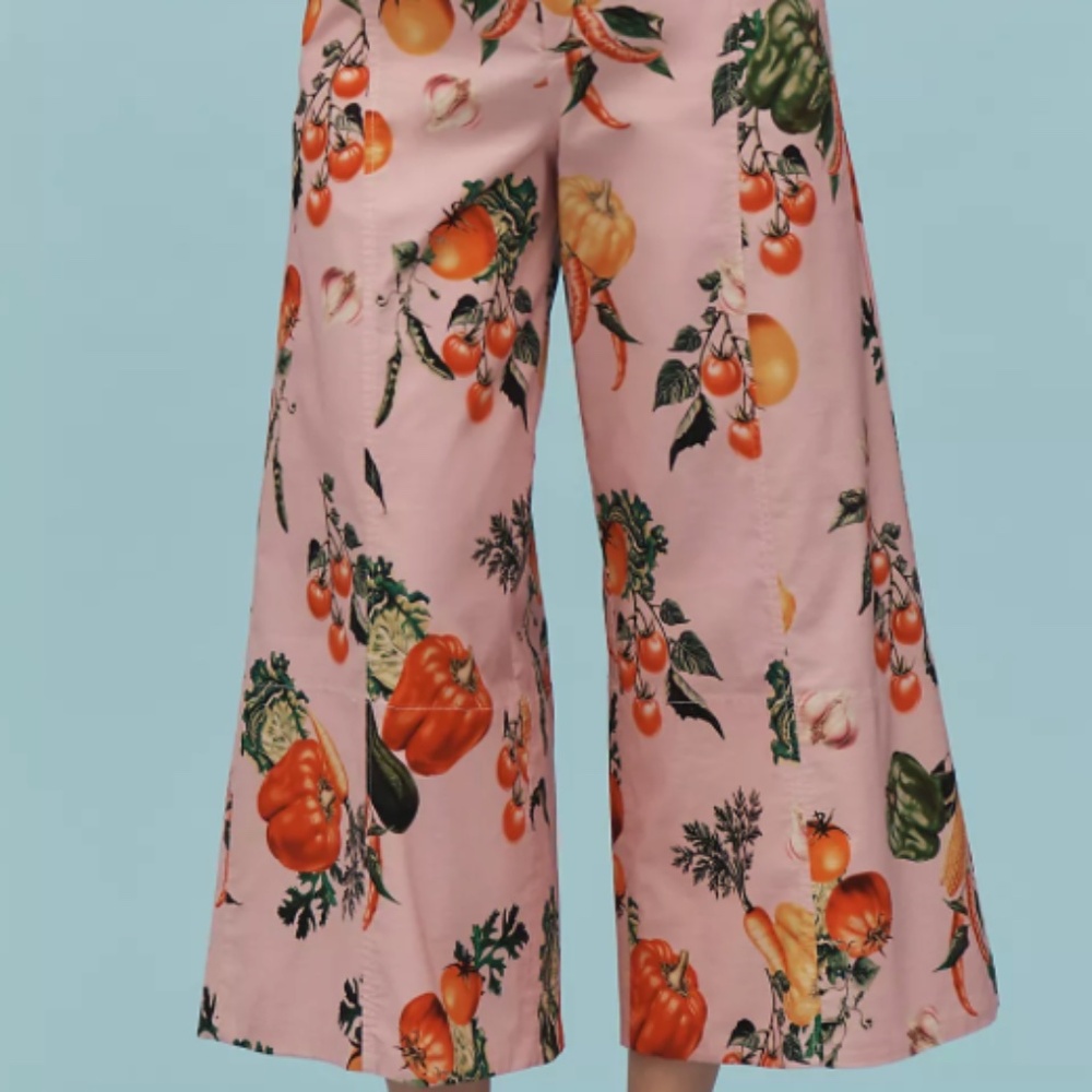 🍅 Maeve by Anthropologie High-Rise Printed Crop Wide-Leg Pants - Size 6
